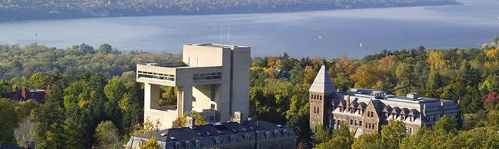 THE JOHNSON MUSEUM OF ART